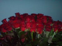 [$Louloudia] louloudi louloudia gamos